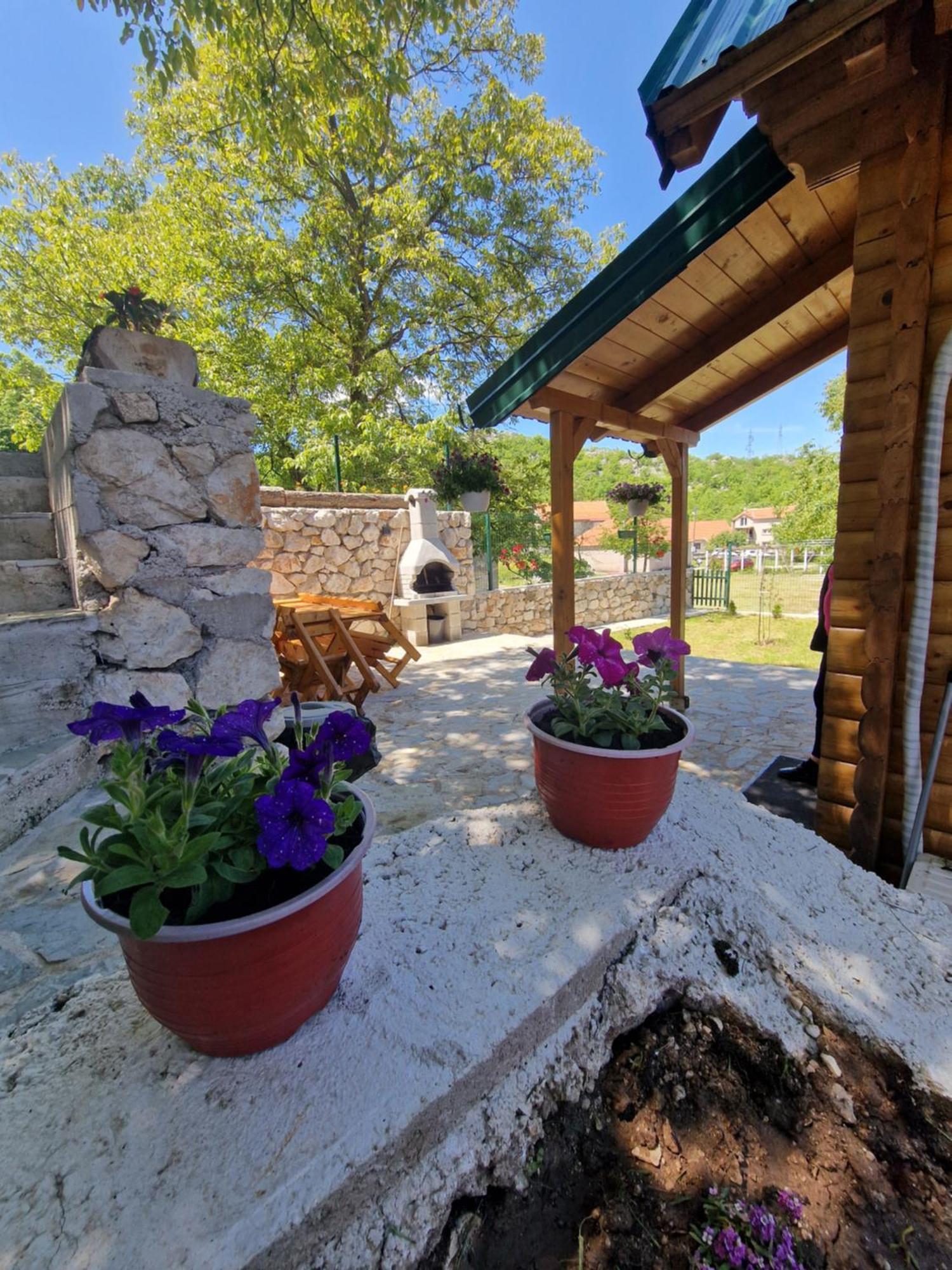 Brvnara Ricki Villa Cetinje Buitenkant foto