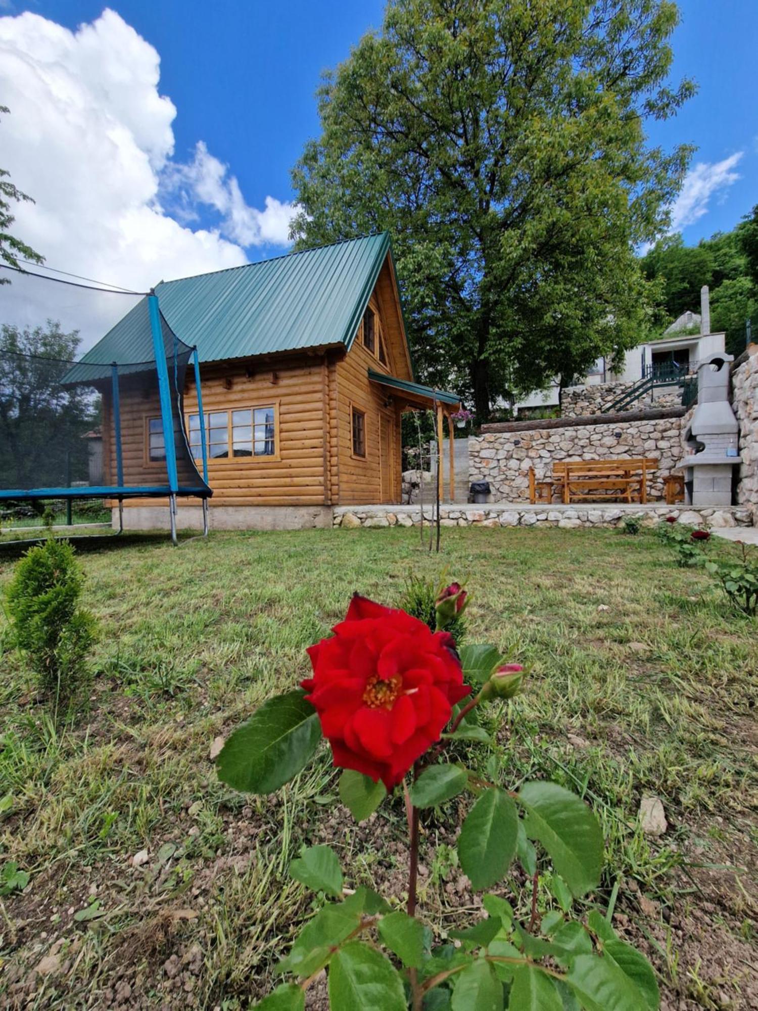 Brvnara Ricki Villa Cetinje Buitenkant foto