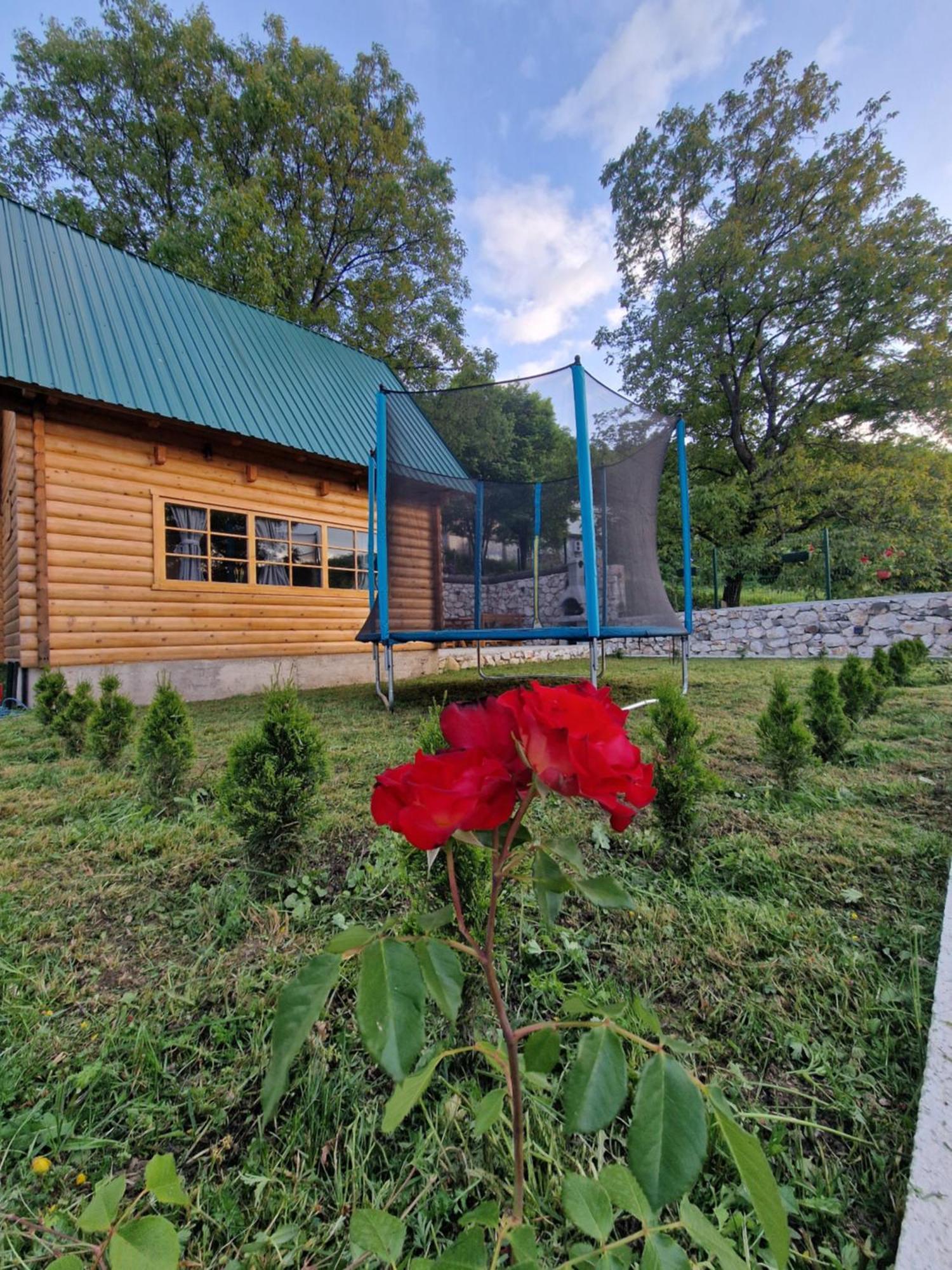 Brvnara Ricki Villa Cetinje Buitenkant foto