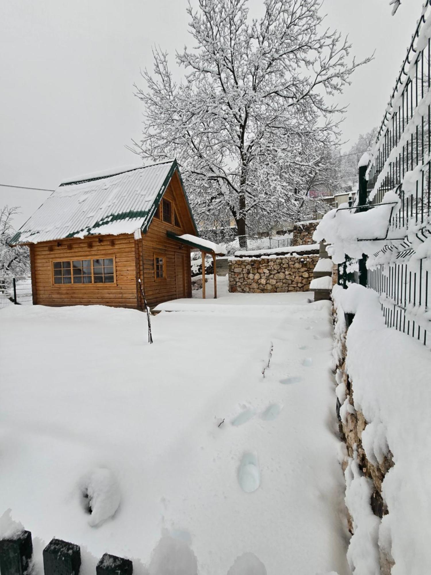 Brvnara Ricki Villa Cetinje Buitenkant foto